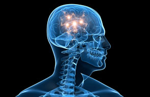 Brain Circuitry & Psychiatric Illness